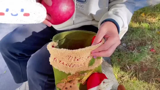 Chaussettes de noël brodées personnalisées, Promotion bon marché, chaussettes de décoration suspendues pour père noël